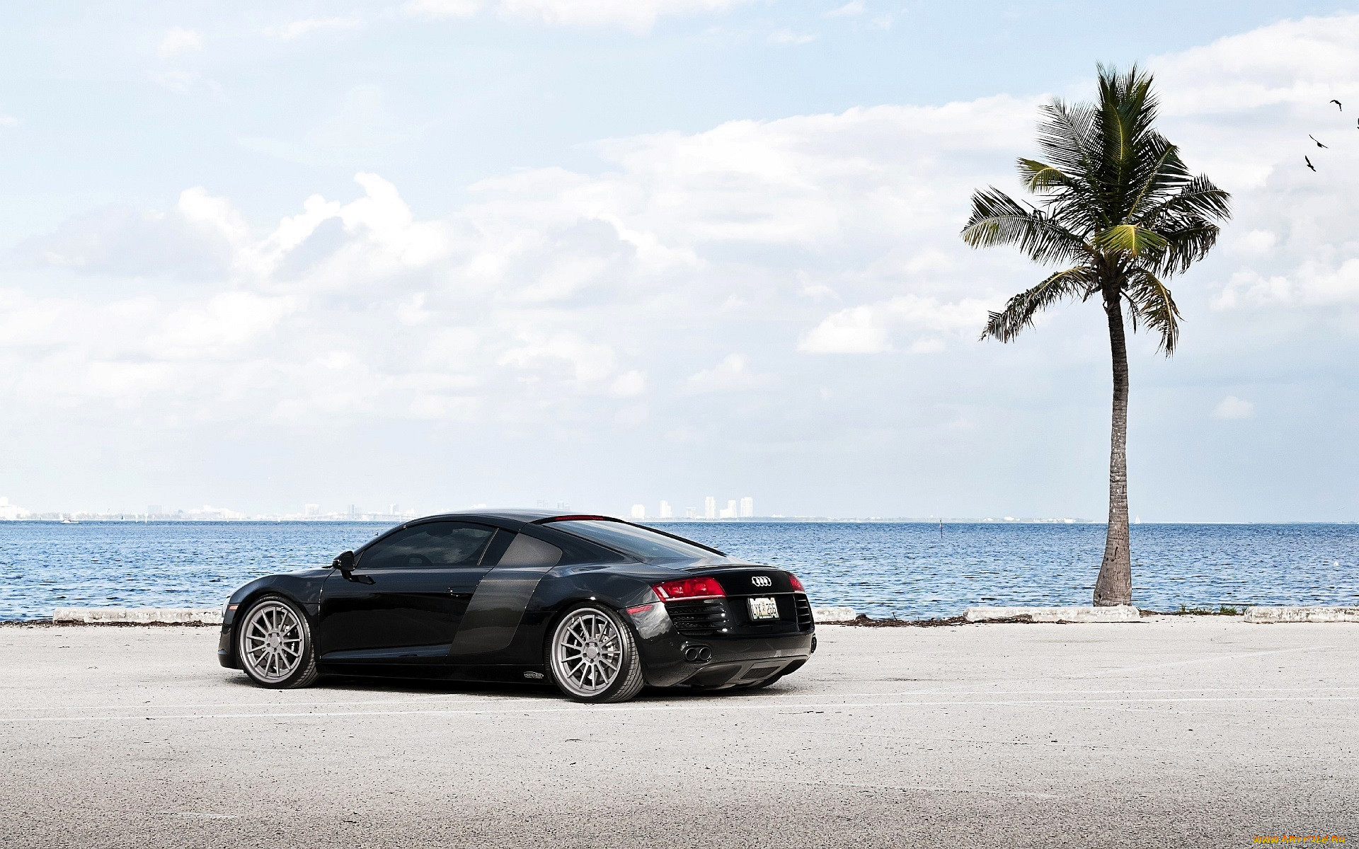 audi r8, , audi, , , 